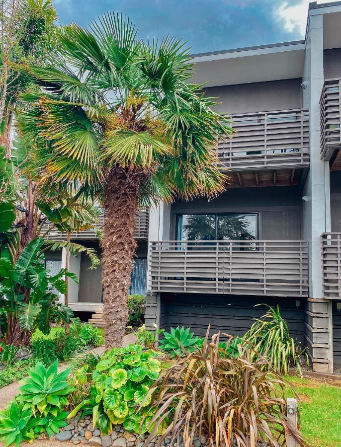 Villa Zion Whitianga Exteriér fotografie
